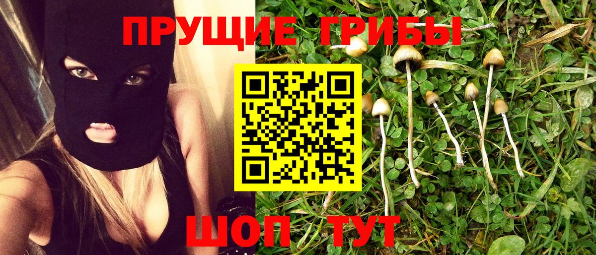 Галлюциногенные грибы мицелий  Вход с VPN  Рубцовск  магазин продажи наркотиков  Галлюциногенные грибы Cubensis 